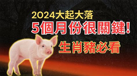 2024运程猪 49年屬什麼